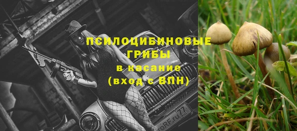 эйфоретик Аркадак