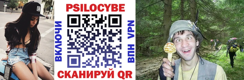 Галлюциногенные грибы Psilocybe  где купить наркоту  дарк нет клад  Саратов 
