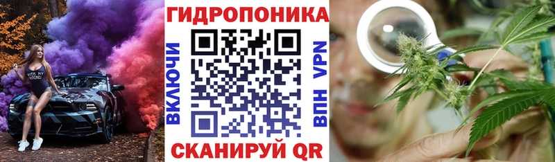 Конопля тримм  ссылка на мегу онион  Саратов  как найти наркотики 